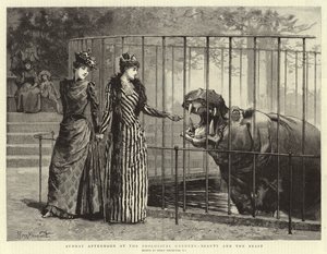 Zondagmiddag in de dierentuin, Schoonheid en het Beest door Percy Macquoid